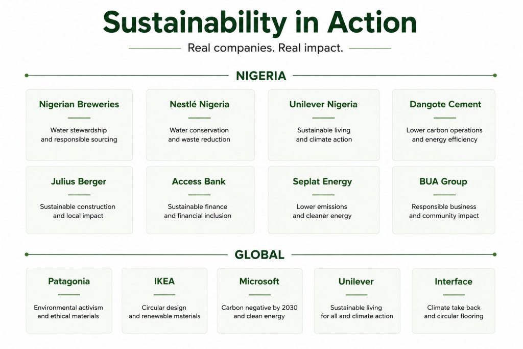 Infographic titled "Sustainability in Action" comparing sustainability initiatives of Nigerian and global companies. The Nigeria section features Nigerian Breweries, Nestlé Nigeria, Unilever Nigeria, Dangote Cement, Julius Berger, Access Bank, Seplat Energy, and BUA Group. The Global section features Patagonia, IKEA, Microsoft, Unilever, and Interface, with each company shown on a card alongside a generic industry icon and a brief sustainability focus.